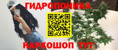 Альфа ПВП Будённовск